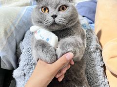 -山城辣妹子重庆火锅(甘露园店)