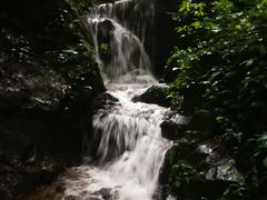 -莫里热带雨林景区