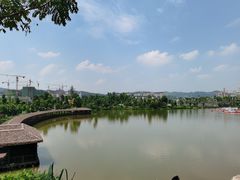-枫香湖儿童公园