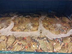 -小厨师·二十年沈家门小海鲜(百井坊巷店)
