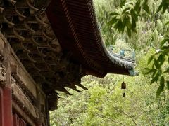 -报恩寺(平武县)