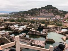 -蛇蟠岛
