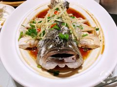 -眉州东坡(中关村店)
