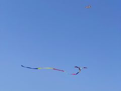 -上海滨江森林公园
