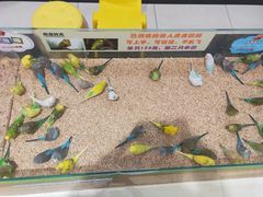 -银泰百货(北京大红门店)