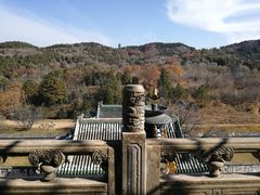 -普乐寺