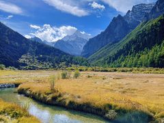 -稻城亚丁景区-冲古草甸