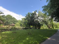 -中国科学院西双版纳热带植物园