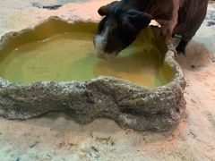 -北戴河圣蓝海洋公园