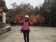 -北京鹫峰国家森林公园