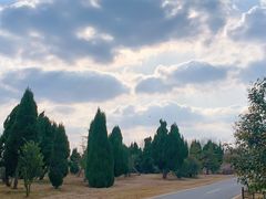 -盐城丹顶鹤湿地生态旅游区