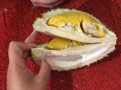-都念榴莲·城市榴莲
