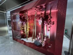 -深圳米兰柏羽医疗美容医院