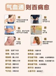 -香薇妮丝·定制减肥·身材管理