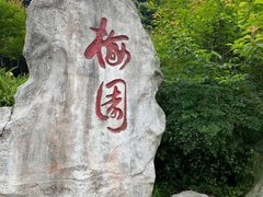 -重庆彩云湖湿地公园