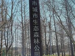 -昆山城市生态森林公园