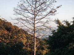 -广州市白云山风景名胜区