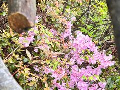 -大明山自然探索公园