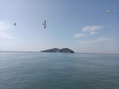 -海驴岛(荣成市)