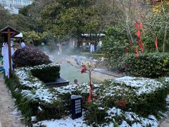 -黄山温泉国际旅游度假区