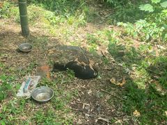 -藏龙百瀑风景区