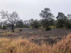 -夏威夷火山国家公园