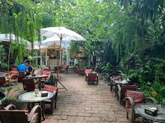 -Fern Forest Cafe