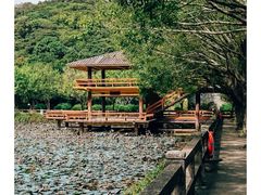 -李小龙乐园(顺德均安店)