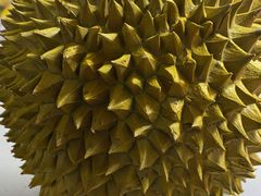 -堤口果品批发市场