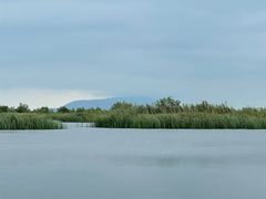 -苏州太湖湖滨国家湿地公园