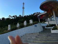 -板樟山森林公园