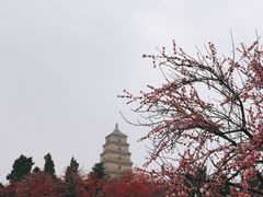-大雁塔北广场音乐喷泉