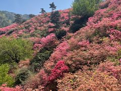 -木兰云雾山