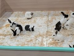 -嘉文梦想世界(SM天津滨海城市广场店)