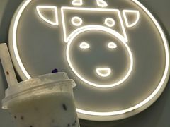 -一只酸奶牛(八一路店)