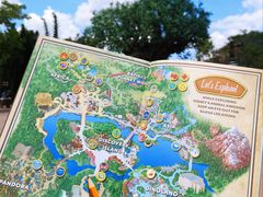 -奥兰多迪士尼动物王国乐园