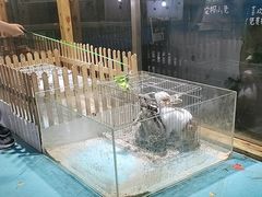 -嘉兴海底世界