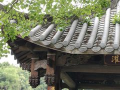 -光明港公园