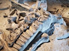 -自贡恐龙博物馆