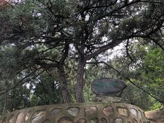 -北京鹫峰国家森林公园