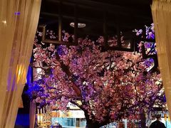 -绿茶餐厅(朝阳大悦城店)