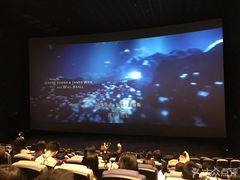 -星河寰宇IMAX影城(星河WORLD·COCO Park店)