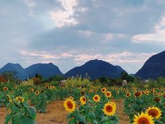 -云漫湖生态度假公园