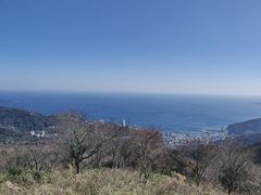-来宫神社
