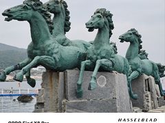 -养马岛旅游度假区