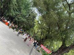 -北陵公园