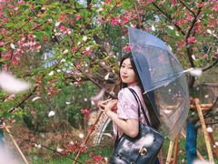 -梁鸿国家湿地公园