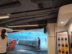 -世界之窗阿尔卑斯冰雪世界