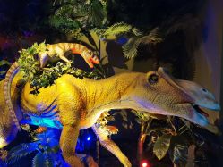 -恐龙探索乐园(磁器口店)