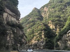 -王顺山国家森林公园
